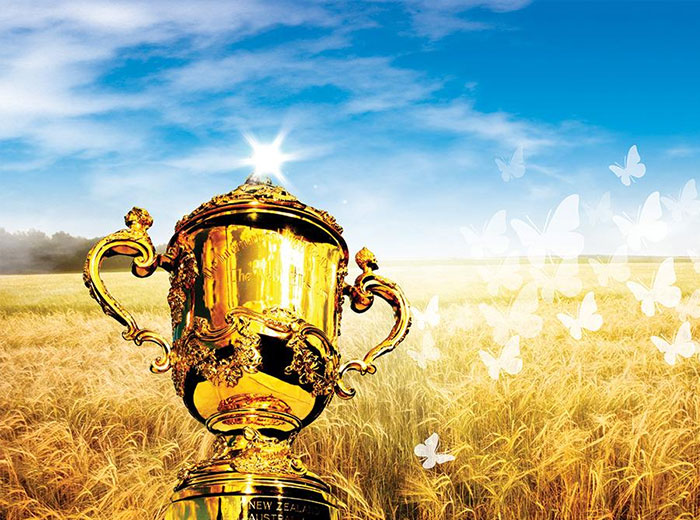 榮譽(yù)資質(zhì)